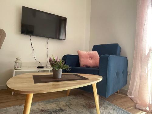 Televisyen dan/atau pusat hiburan di Apartmani Žabljak Hills