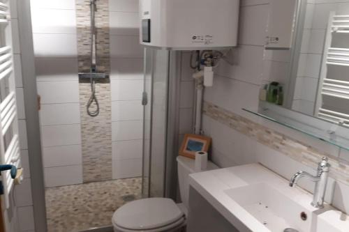 ein Bad mit einem WC, einem Waschbecken und einer Dusche in der Unterkunft Gite combes soleil calme et nature in Le Sappey-en-Chartreuse