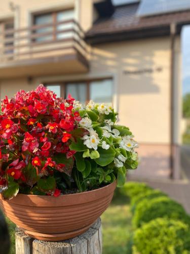 a pot of red and white flowers on a wooden post at U Agi in Nowogród