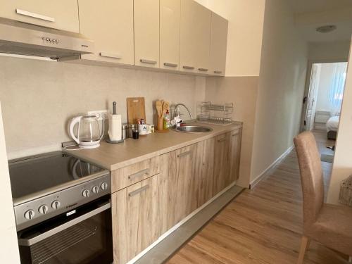 Dapur atau dapur kecil di Apartmani Žabljak Hills
