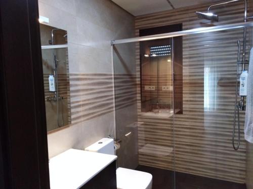 La salle de bains est pourvue de toilettes et d'une douche en verre. dans l'établissement Apartamentos turísticos Cambil, à Cambil