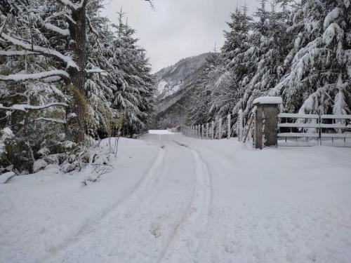 Imagen de la galería de Snowko, en Malalcahuello