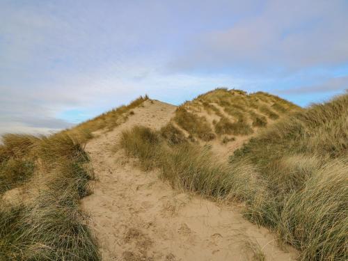 a dirt path through the grass on a beach at Ystwyth 36 in Borth
