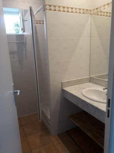 La salle de bains est pourvue d'un lavabo et d'une cabine de douche. dans l'établissement Bastidon Plein Sud, à Gordes