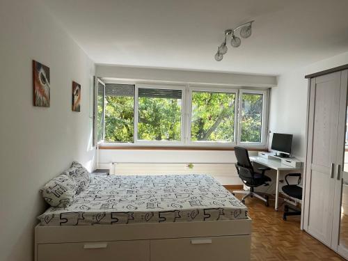 a bedroom with a bed and a desk and two windows at Feel at home - central & cosy in Basel