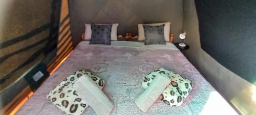 a small room with two beds and towels on the bed at Protea Lodge - Glamping in the Karoo in Barrydale