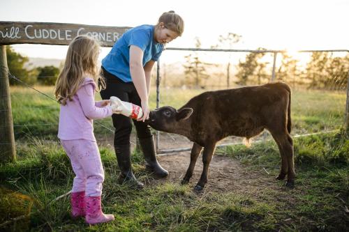 Παιδιά που μένουν στο Fernhill Guest Farm