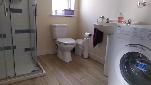 a bathroom with a toilet sink and a washing machine at Lovely cosy cottage close to Atlantic beaches in Dromore West