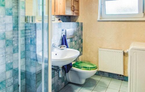 a bathroom with a toilet and a sink and a shower at Cozy Home In Pobierowo With Wifi in Pobierowo