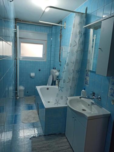 uma casa de banho azul com uma banheira e um lavatório em Apartman Matej em Slavonski Brod