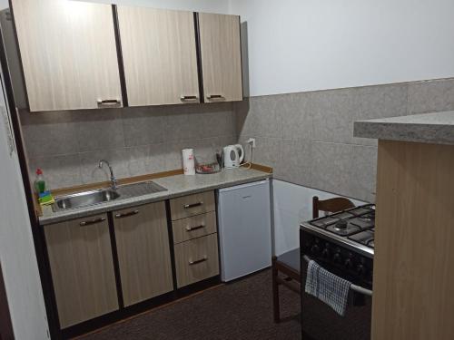 uma pequena cozinha com um lavatório e um fogão em Apartman Matej em Slavonski Brod
