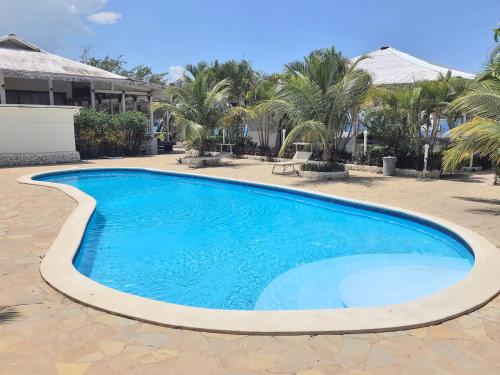 a large blue swimming pool in a yard with palm trees at Piergiorgio Palace Hotel in Sosúa