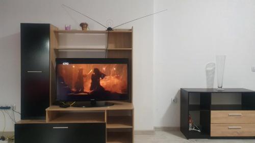 a living room with a tv in a entertainment center at Studio Sarafovo in Burgas City