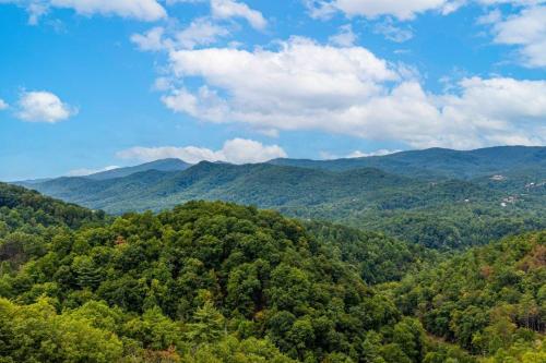 Rocky Top Lagoon cabin – Photos 2