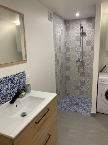 ein Badezimmer mit einem Waschbecken und einer Waschmaschine in der Unterkunft Charmant logement avec un extérieur et un jacuzzi in Lançon-Provence