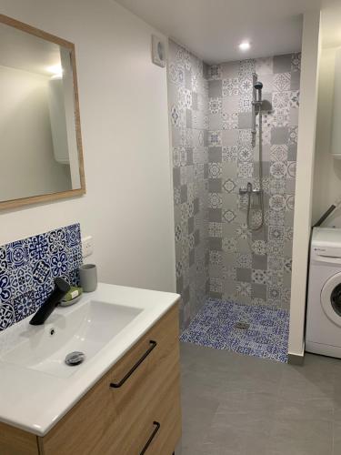 a bathroom with a sink and a washing machine at Charmant logement avec un extérieur et un jacuzzi in Lançon-Provence