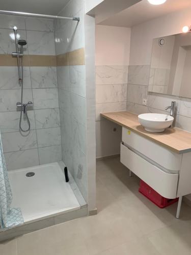 La salle de bains est pourvue d'un lavabo et d'une douche. dans l'établissement maison 3 pièces, à Pierrelaye