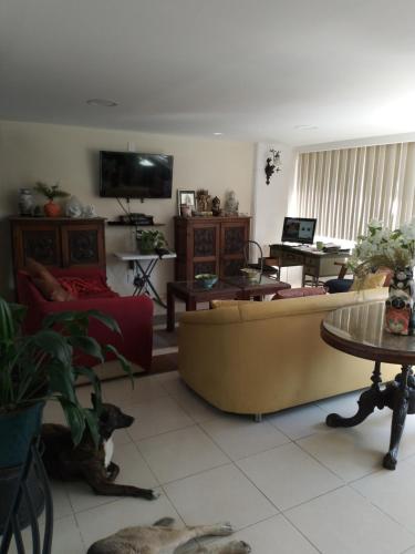 Μια τηλεόραση ή/και κέντρο ψυχαγωγίας στο Charming sunny bedroom overlooking beautiful Amsterdam Avenue in best Condesa area