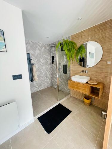 une salle de bain avec une douche avec un lavabo et un miroir dans l'établissement La suite provençale, à Marseille