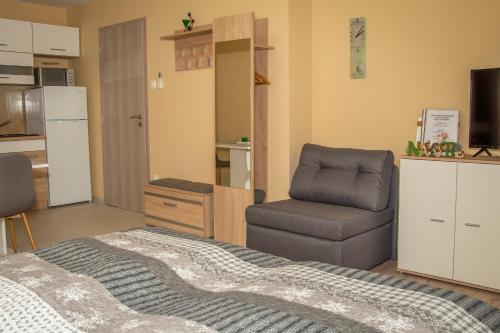 a living room with a chair and a kitchen at Oros House Apartmanház in Orosháza