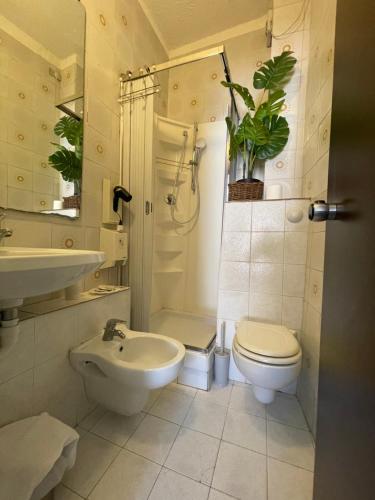 チェゼーナにあるHotel Cappelloのバスルーム(洗面台、トイレ、シャワー付)