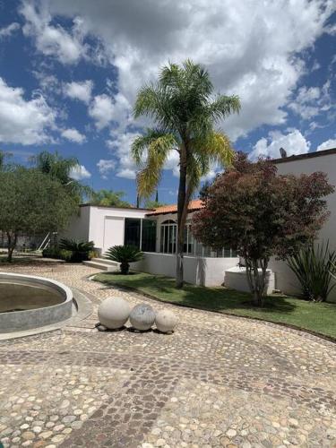 a house with a palm tree in front of it at Villa Quinta Lomas casa completa con aéreas verdes in León