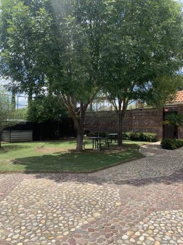 a tree and a park with a bench and trees at Villa Quinta Lomas casa completa con aéreas verdes in León