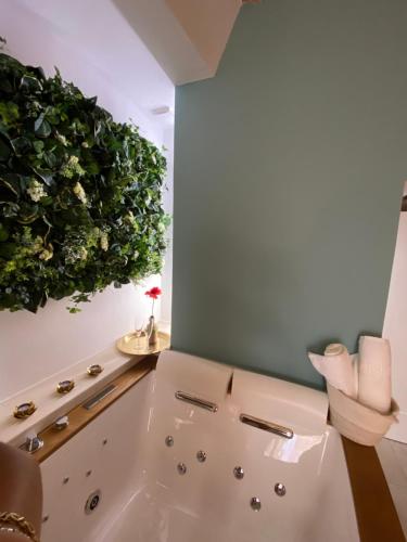 baño con bañera con una planta verde en la pared en DIMHORA, en Giovinazzo