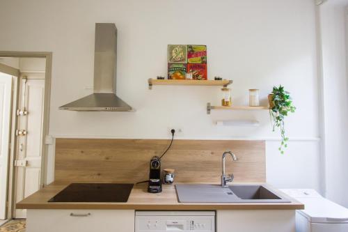 een keuken met een wastafel en een aanrecht bij Le 62 - Spacieux T2 avec JARDIN, parking & tramway in Grenoble