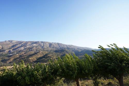 a group of trees with mountains in the background at Villa Tzekos in Kendrokhórion