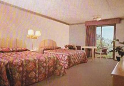 Postel nebo postele na pokoji v ubytování Chateau Royale Inn