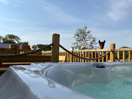 Jungle Book Safari Tent في تينبي: حوض استحمام ساخن مع قطة تقف على سياج خشبي
