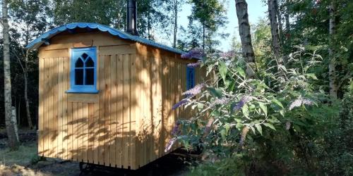 ein hölzernes Vogelhaus mit blauem Fenster in der Unterkunft Sapphire forest garden shepherd’s hut in Church Stretton