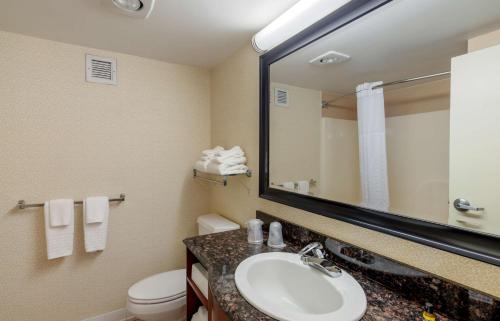a bathroom with a sink and a toilet and a mirror at BEST WESTERN PLUS Inn at Valley View in Roanoke
