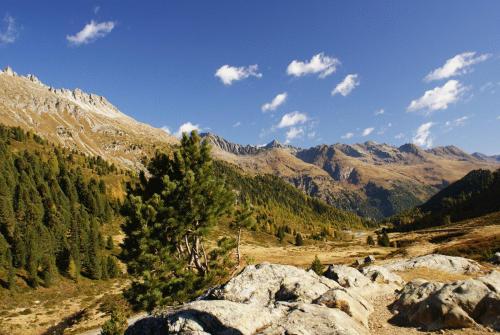 a view of a mountain range with trees and rocks at Gasthaus Oberweissen-Hittl in Sankt Jakob in Defereggen