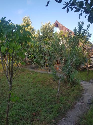 Imagen de la galería de Run Gilis, en Gili Meno