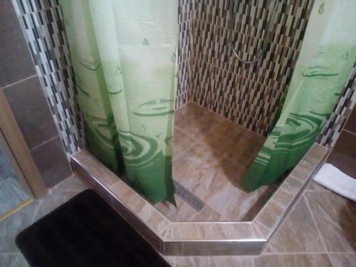 een douche in een badkamer met een groene douche bij Apartment Silba 17603b in Silba