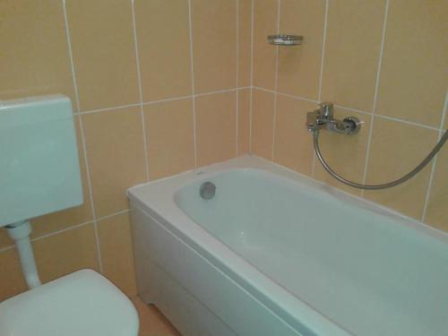 La salle de bains est pourvue d'une baignoire, de toilettes et d'une douche. dans l'établissement Apartments with WiFi Kastel Kambelovac, Kastela - 17732, à Kaštela