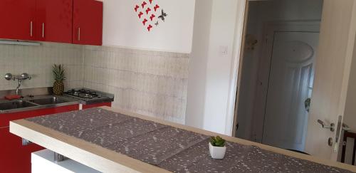 Studio Rijeka 17761a