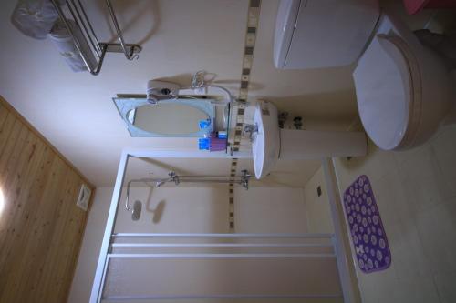 a bathroom with a sink and a toilet and a mirror at Sunny Breeze Garden Homestay in Jiali