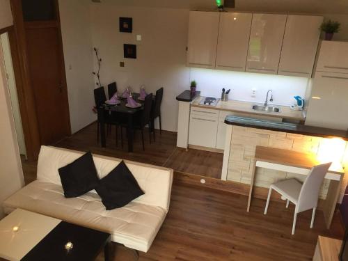 Kuchyň nebo kuchyňský kout v ubytování Family-friendly apartments with swimming pool Ostarski Stanovi, Plitvice - 17806