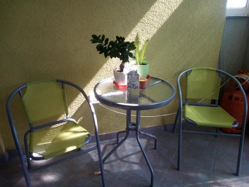 Apartment Zadar 17813a