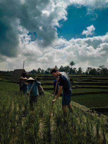 Гости Swaha Retreat & Eco Park Ubud