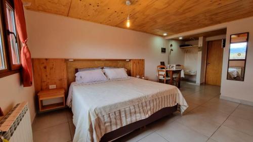a bedroom with a large bed in a room at Arroyo Escondido in Trevelin