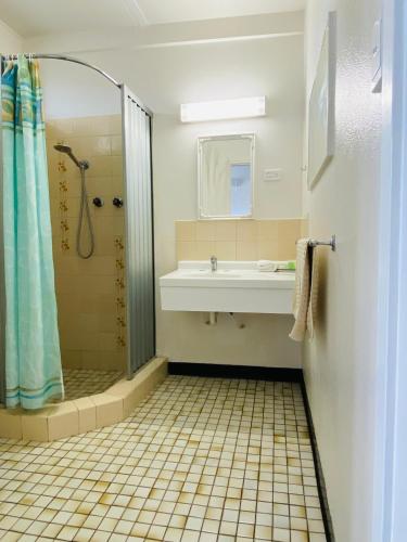 a bathroom with a sink and a shower at Mid Valley Motel in Morwell