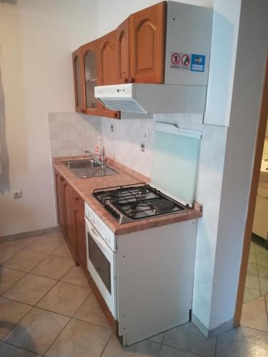 Apartments by the sea Novalja, Pag - 17973