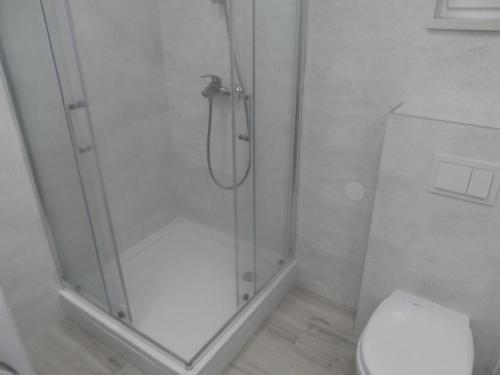 ein Bad mit einer Dusche und einem WC in der Unterkunft Apartments with a parking space Opuzen, Neretva Delta - Usce Neretve - 18070 in Opuzen