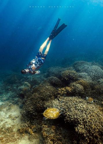 a person swimming over a coral reef with a turtle at RUSTIQUE RUE Mabini - Hostel in Batangas City
