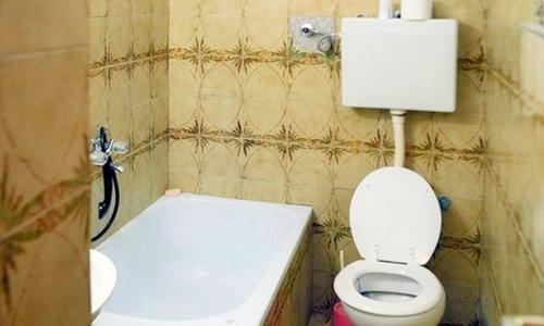 a bathroom with a toilet and a bath tub at Apartments by the sea Ivan Dolac, Hvar - 18100 in Jelsa