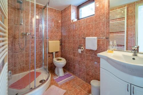 a bathroom with a shower and a toilet and a sink at Apartments with parking space Slunj, Plitvice - 18152 in Slunj